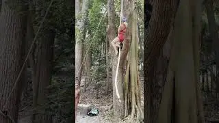 Awesome rope climb power by super fit girl Sarah Bartlett!!!