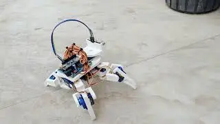 4 legged Quadrupled Spider Robot #robotics #education