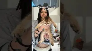 Cute right?🥰 #nevada #kitten #trend #tiktok