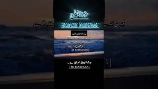 sureh Rahman #al-quranrecitation #mostbeautifulrecitationofquran #heartrelaxing #quran #learnteach✨