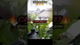Canon737 ❗Tekukur lagi pacaran bolo.. #sniper #berburu #hunting #uklikjahat