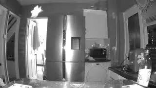 Real life tooth fairy caught on camera