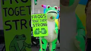 Why U.S. protesters are dressing up as frogs and other creatures