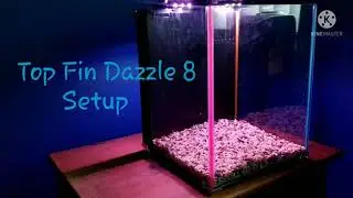Setting up the Top Fin Dazzle 8 Gallon Aquarium Kit