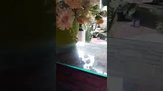 Balasan terhadap orang yang beriman,danpertolongan Allah Q-S:Al HAJ A:14-18