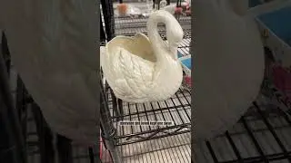Thrifted home decor and styling inspiration for your home - ceramic swans