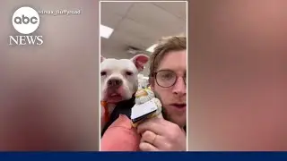 This man is using a backpack to help get dogs adopted