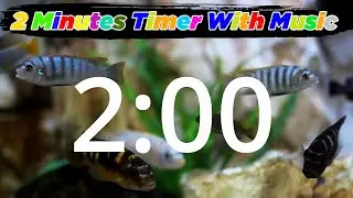 [COUNTDOWN] 2 Minute Timer with Music (2023)