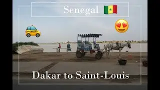 Dakar | Radisson Blu Breakfast, Yassa and a road trip to Saint-Louis | Senegalese Twisted