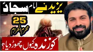 Yazeed ne imam Sajjad (as) ko Zinda keun chor dia ?|Allama Asif Raza Alvi Faislabad