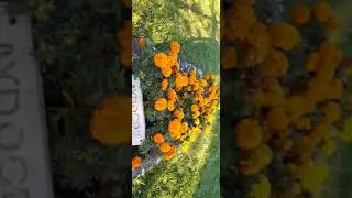 sogut real place of urtugal and his Alps....🇹🇷🇹🇷🇹🇷