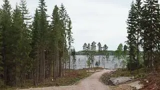 Rantatontit Iso-Kiskolla