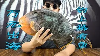 The young man spends 10,000 yuan to go out to sea to catch rare fish.