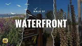 Bay Breeze & Waterfront Views| Walking at Alameda Waterfront Park