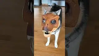 Winning Product: Dinosaur Mask for Dogs