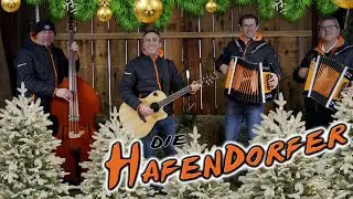 Hafendorfer Weihnachtsgrüße - Folge 3: Christbaumsuche