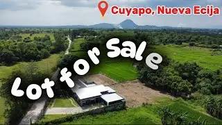 Land for Sale in Central Luzon! #philippines #nuevaecija #2025