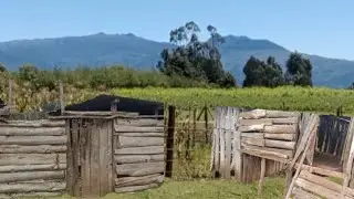 Exploring Traditional Farm Structures at the Foot of the Aberdare Mountain Ranges