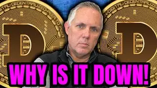 WHY IS DOGECOIN DOWN TODAY?! NOT WHAT YOU THINK DOGE HOLDERS!