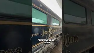 Was the tequila train tour actually worth the hype? 🤔 #guadalajara #tequilatrain #jalisco🇲🇽