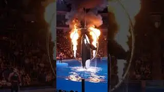 WATCH THE WILDEST ORCA FIRE JUMP EVER RECORDED!