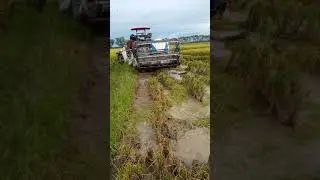 YANMAR 70 Sapu Bersih..lahan Tugu mulyo Lempuing OKI