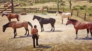 John Marston Steals 5 Beautiful American Paint Horses from Armadillo | RDR2 Wild Horse Theft