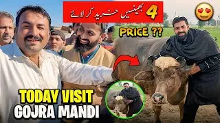 Today Visit Gojra Buffalo Mandi 🐃 Mandi K Halaat 🤔 | الحمدللہ چار بھینسیں خرید کر لائے