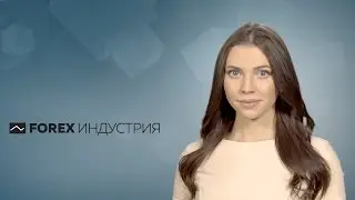 Purse.io снова онлайн