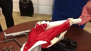 SuperPath Muscle Model Demonstration