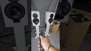 dynaudio xeo 20 speakers