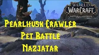 Pearlhusk Crawler - Pet Battle Strategy Guide WoW BFA 8.2