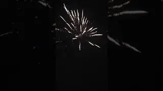 Tahun Baru 2019 - Javaland Cafe Jatibening (2/4)