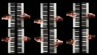 Alfonso Peduto - 12 Hands