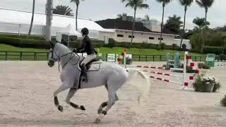 Video 49. 1.10 Junior Jumper - Amelia VanDevender 