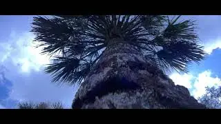 Bill Frederick Park Cinematic 4K | iPhone 13 Pro Max 8/28/2022