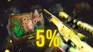 THE 5% DRAGON LORE?! (PANDASKINS CASE OPENING)