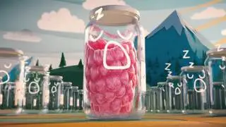 Rumenko Smoothie Malina - Dolina tegli