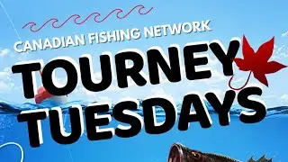 Tourney Tuesday - SHIMANO STELLA prize details (CFN Fish Off)