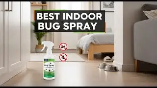 TOP 5 Best Indoor Bug Spray 2026 | Only ONE Killed Everything!