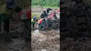 Traktor Sawah Quick G 3000 Terguling Saat Olah Tanah