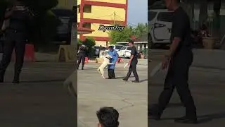 K9 malaysia viral tiktok / Original video /dog pull on leash