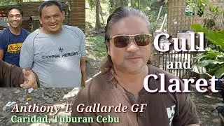 EP360: Gull and Claret sa Tuburan Cebu