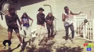 Legendury Beatz ft Mr. Eazi_Zanku Leg Riddim (Afro Dance Zambia)