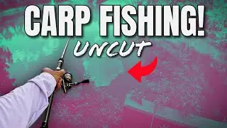 Unfiltered, Uncut: Speed Fishing for Carp and More!