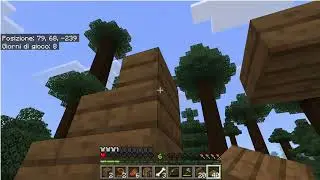 Vanilla ep 6 Costruiamo il tetto!(parte 1)
