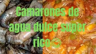 PREPARANDO UNOS RICOS CAMARONES DE AGUA DULCE