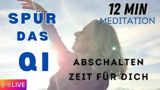 12 Minuten für dich - das Qi spüren - abschalten, entspannen, wohlfühlen - geführte Meditation