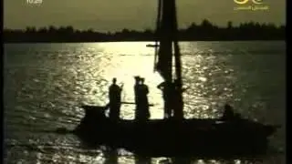 الطائر الطواف.. صور من السودان