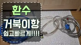 거북이(테라핀)항 환수이렇게 합니다 쉽고 빠르게 환수할수있어요